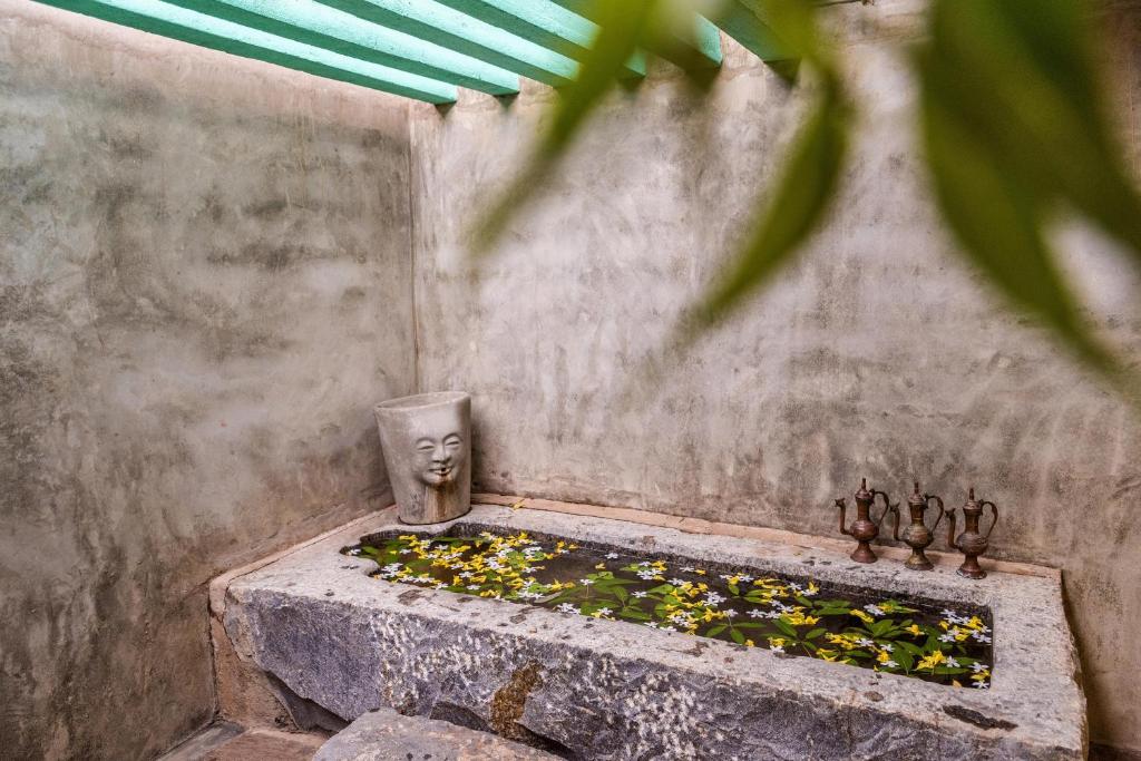 Zahrada ubytování Jetwing Ayurveda Pavilions
