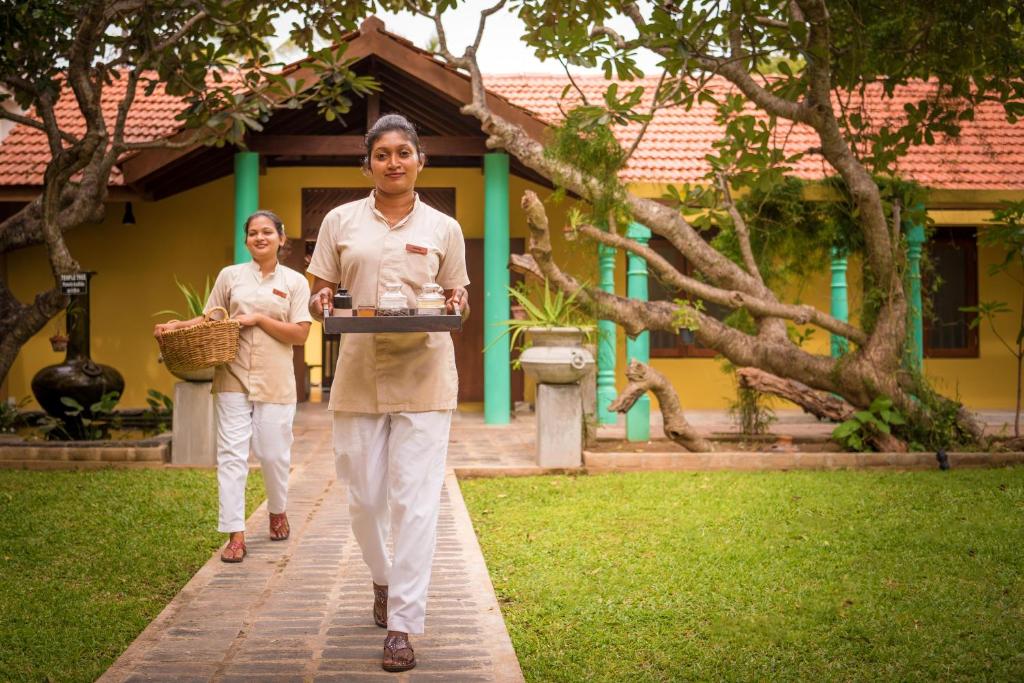 Hosté ubytování Jetwing Ayurveda Pavilions