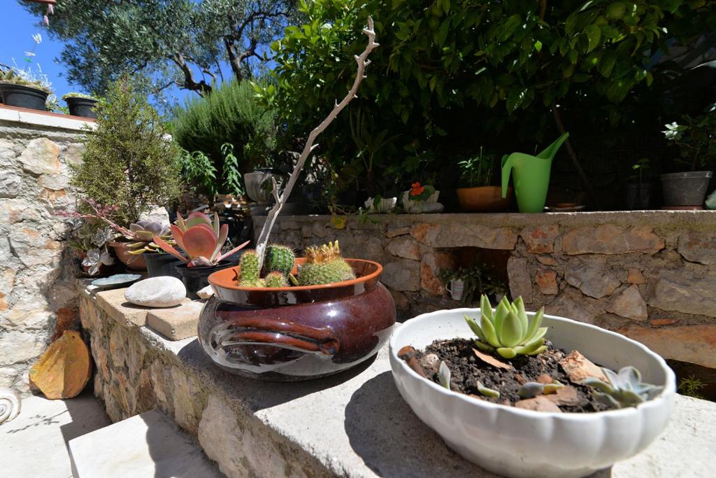 Fotografie z fotogalerie ubytování Nina v destinaci Mali Lošinj