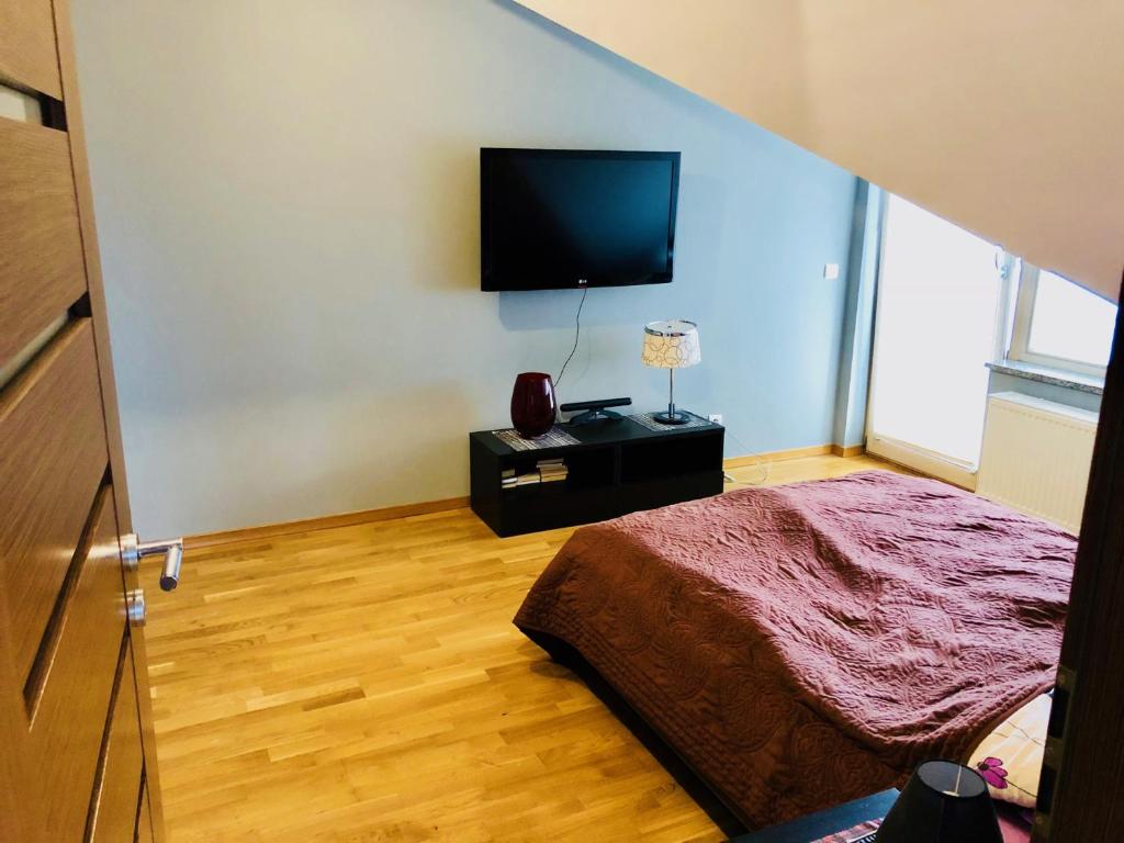 Televízia a/alebo spoločenská miestnosť v ubytovaní Apartamenty Smile