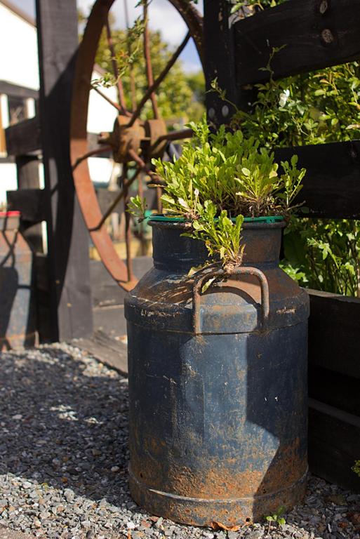 Cambridge Coach House - Resim 43