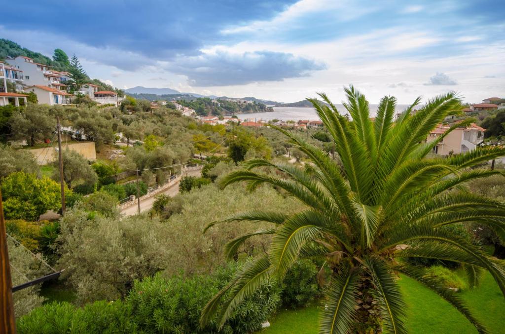 a palm tree in front of a view of the ocean at Olive Grove View in Skiathos