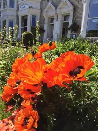 Wheatlands Lodge Hotel - Resim 20