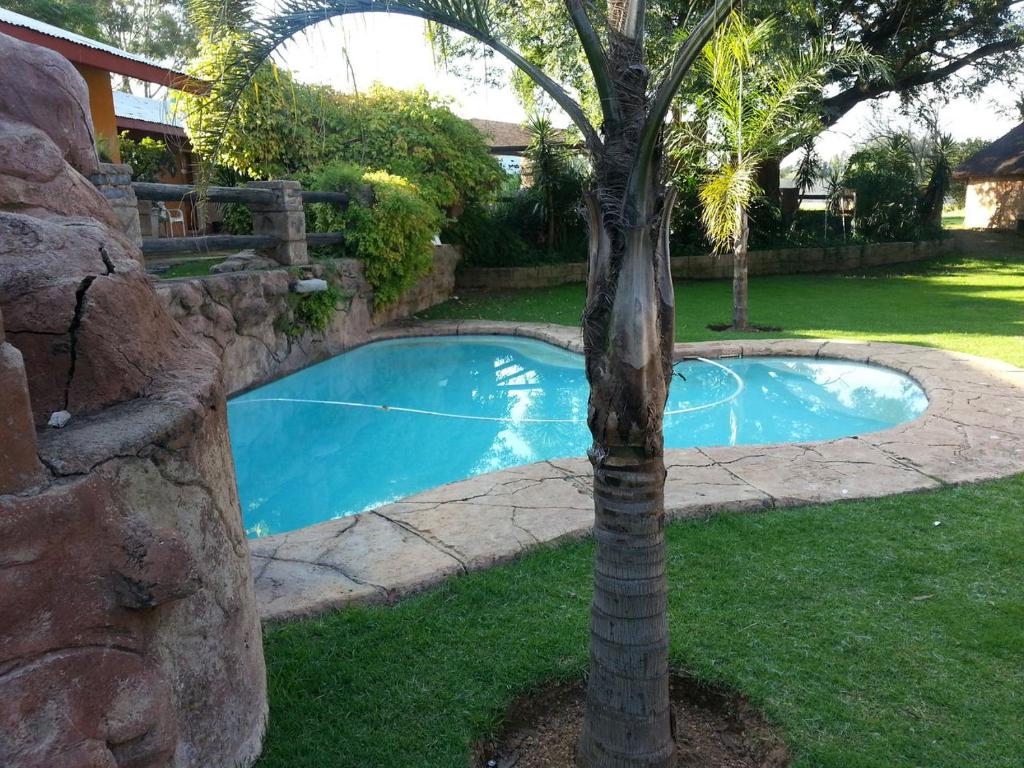 una palmera junto a una pequeña piscina en Anna Boeremeisie, en Benoni