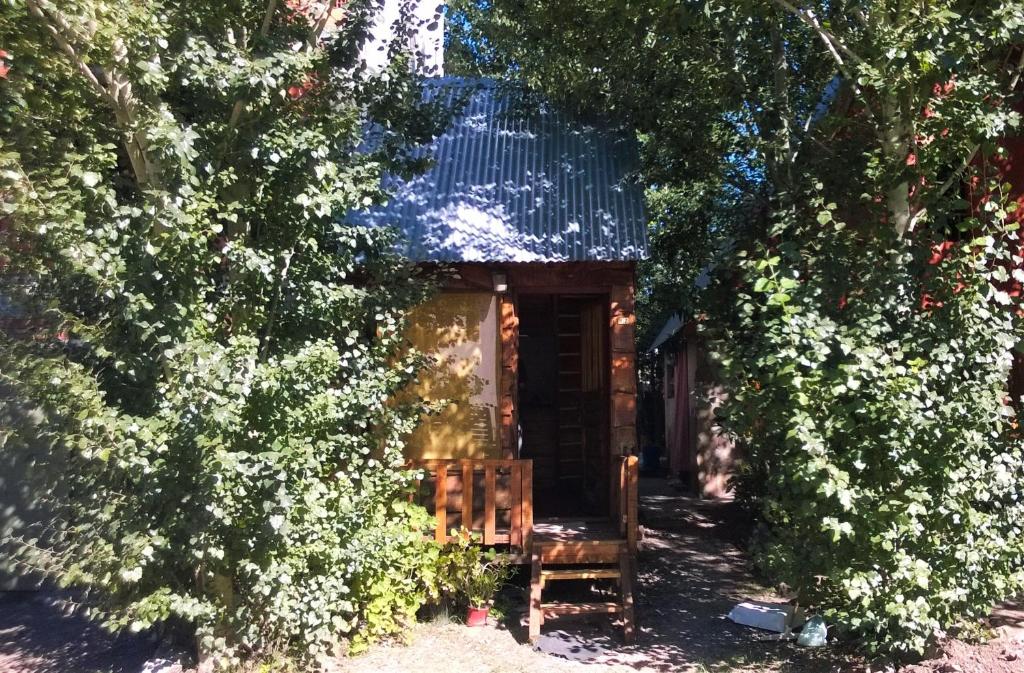 a small house surrounded by trees and bushes at La Cabaña in Tandil