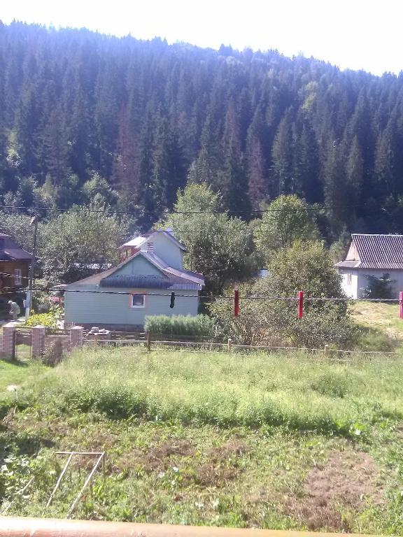 Příroda nedaleko venkovského domu