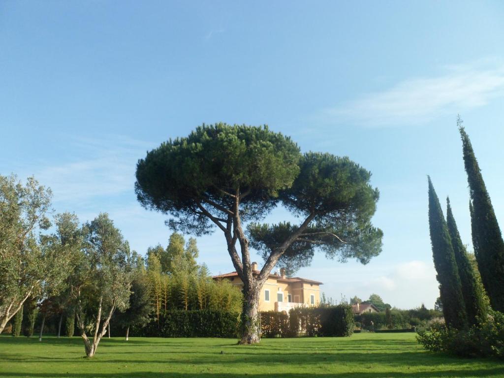 Zahrada ubytování Casale DI Tormaggiore Villa And Country Suites