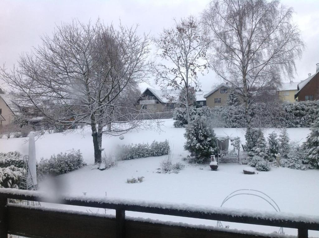 Pension Robin Hood - 7