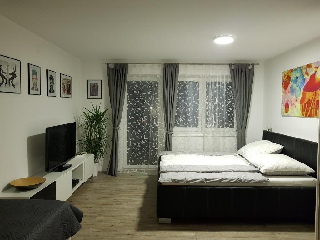 a bedroom with a bed and a tv and a window at Ferienwohnung in Pinsdorf