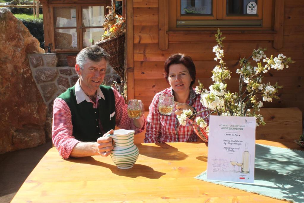 Hosté ubytování Singerskogel - Ferienhof und Jausnstub`n