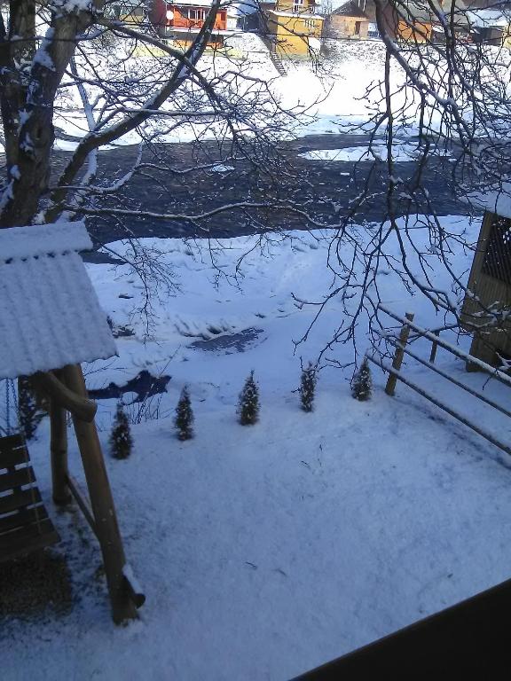 Yablunevyi Tsvit v zimě