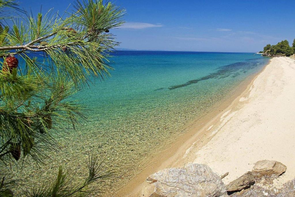 Táj Show holiday homes közelében
