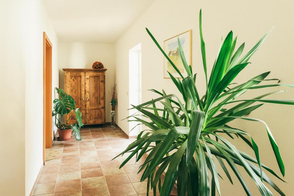 Fotografie z fotogalerie ubytování Gästezimmer Sengstschmid v destinaci Windhaag bei Freistadt