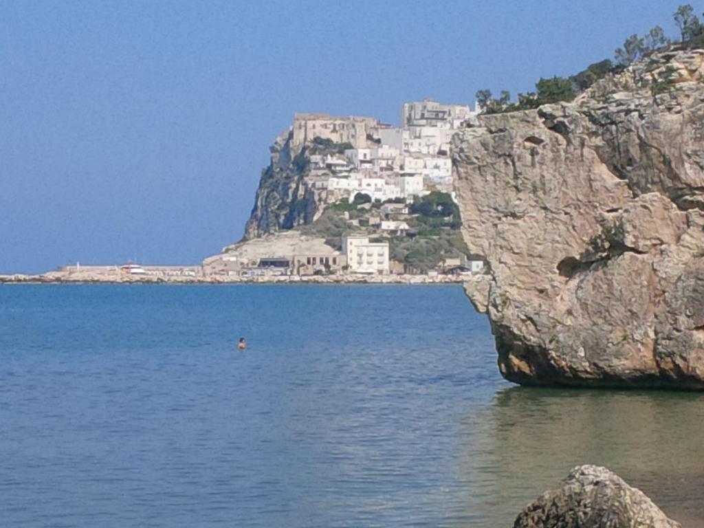 a town on top of a mountain in the water at Borgo Antico in Peschici