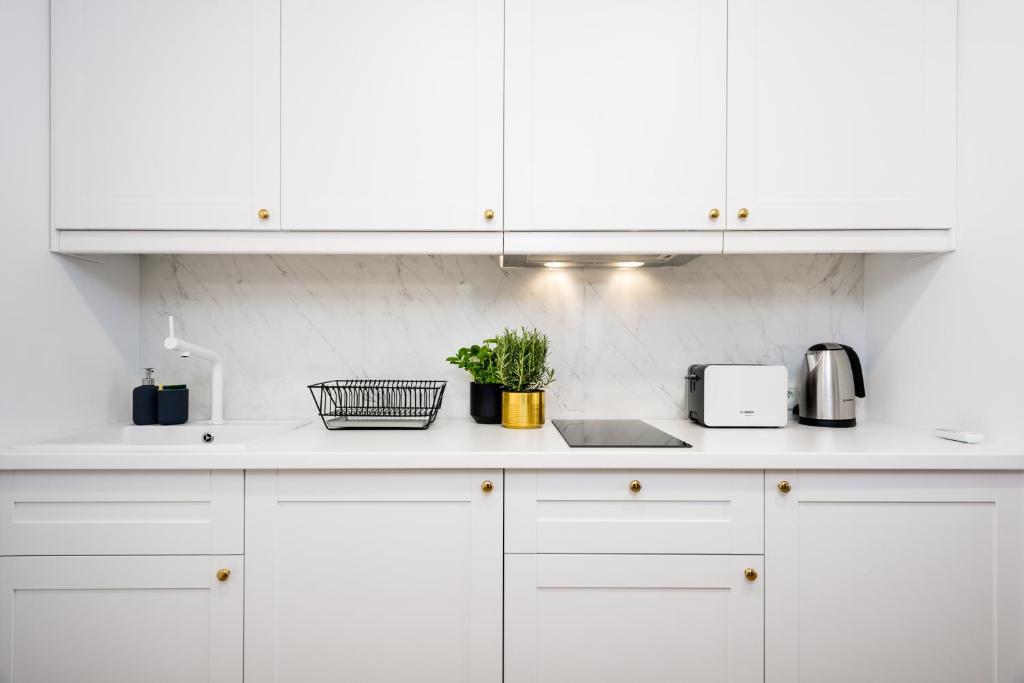 Kuchyňa alebo kuchynka v ubytovaní P&J Luxury Apartments