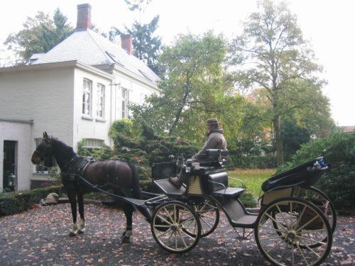 Hosté ubytování B&B 't Wit Huys Brugge