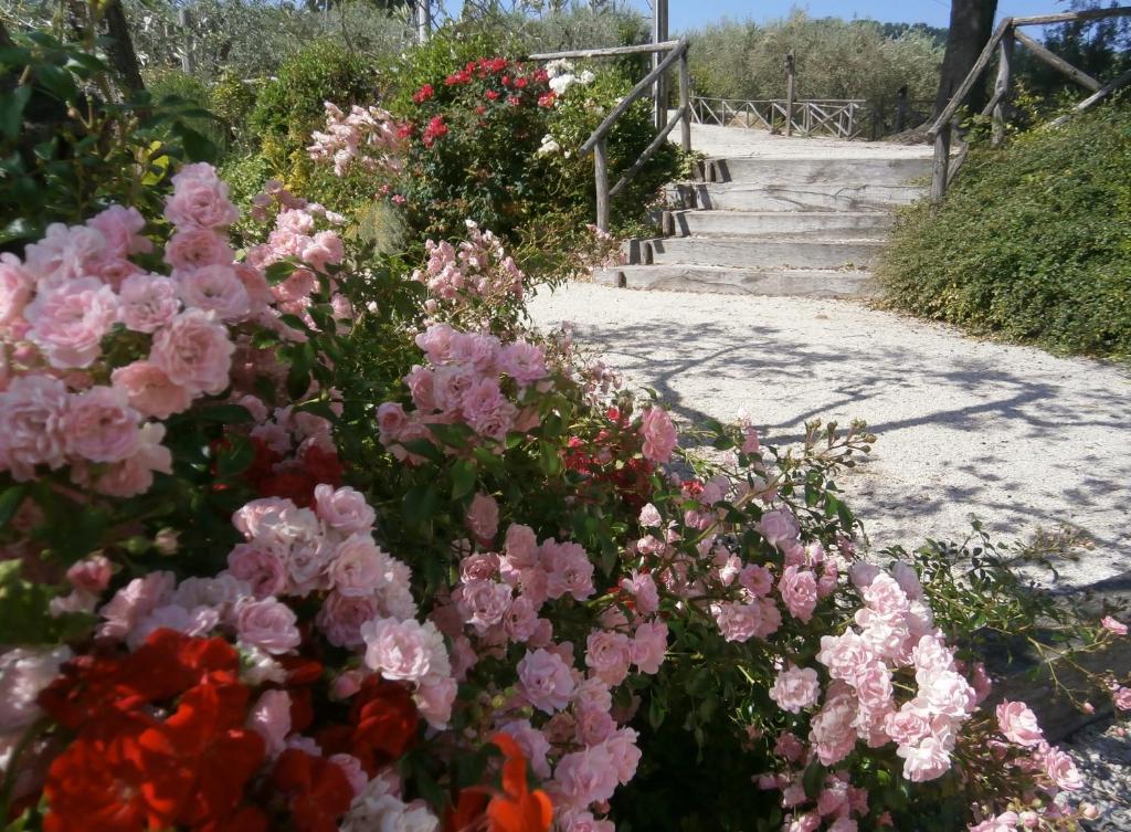 Fotografia z galérie ubytovania Tenuta Colverano v destinácii Montefalco