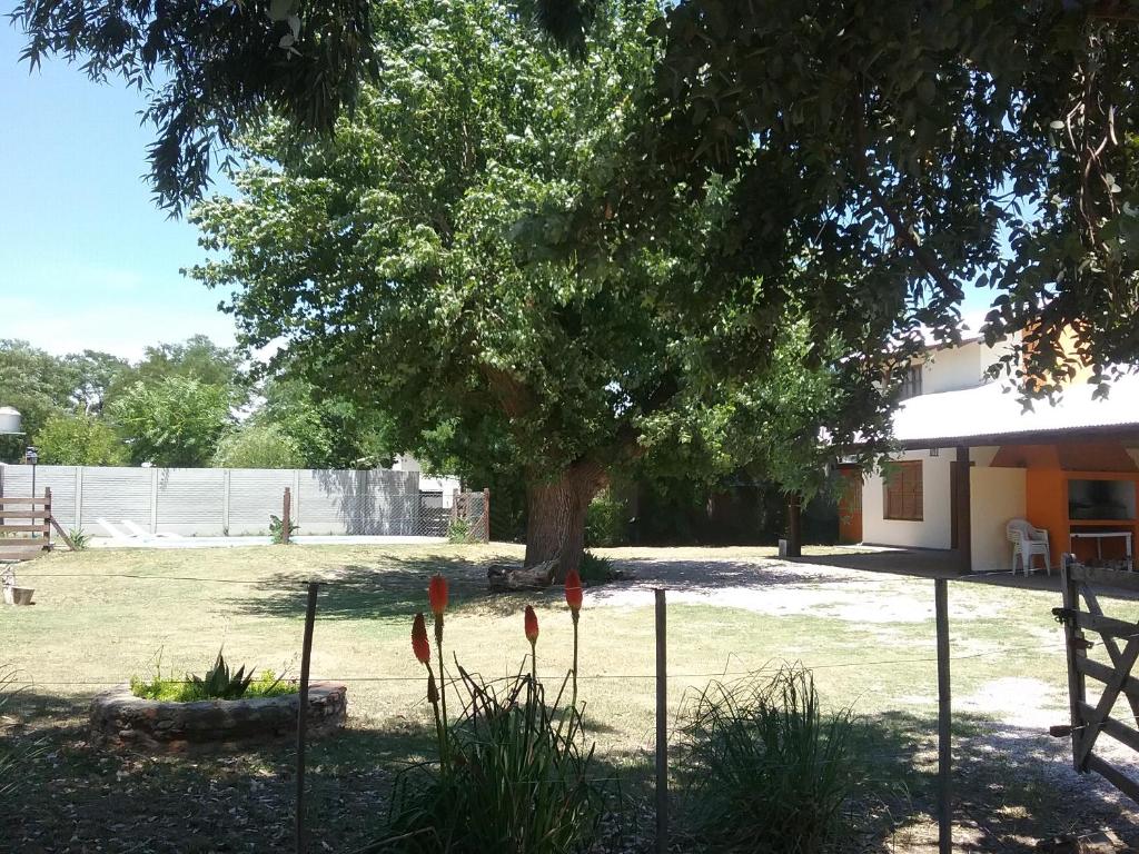 un árbol en medio de un patio con flores rojas en El Alamo en Sierra de la Ventana