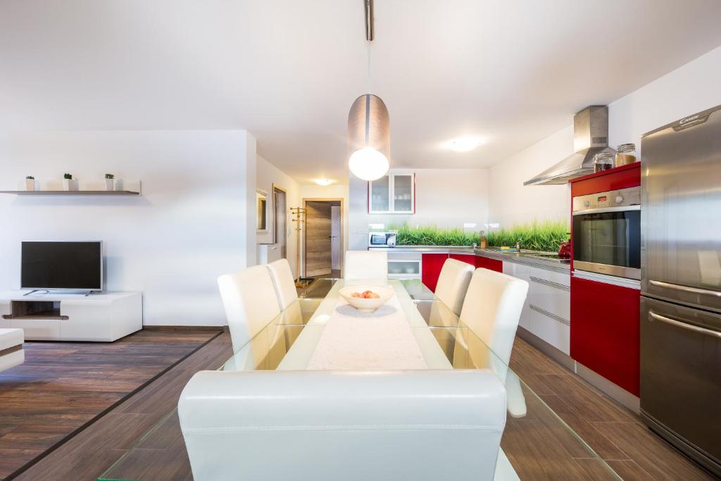 Kuchyň nebo kuchyňský kout v ubytování Apartments Planina pod Sumikom