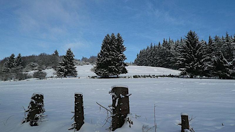 Haus zur Sonne Sauerland v zimě
