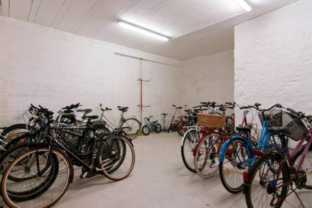 Ciclismo en Homestay Sisi o alrededores