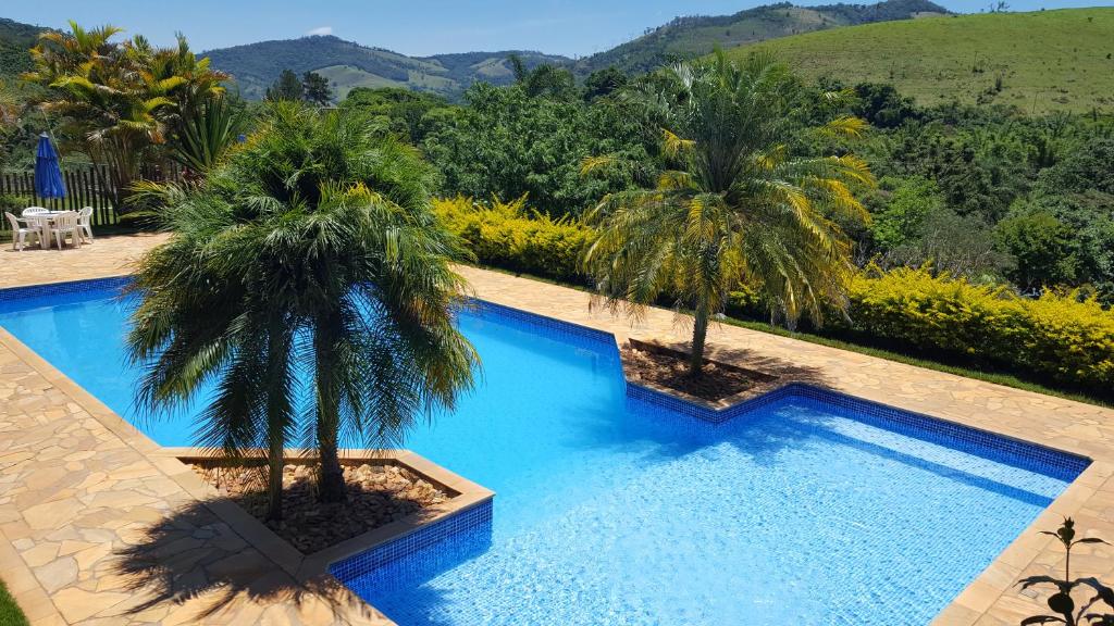 a swimming pool with two palm trees next to it at Ibiti Hotel Rural in Monte Alegre do Sul