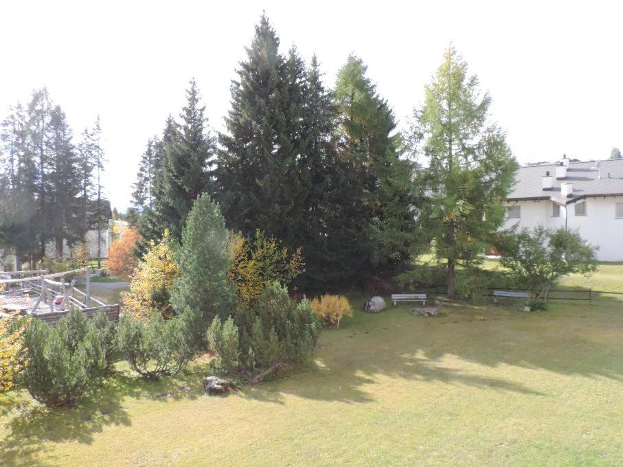 Zahrada ubytování Allod (166 Da) Whg. Nr. 103
