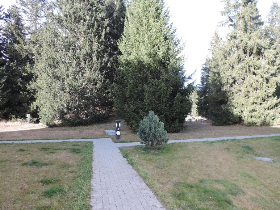 Zahrada ubytování Seegarten B (168 Be)