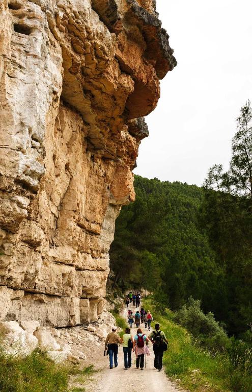 Příroda nedaleko venkovského domu
