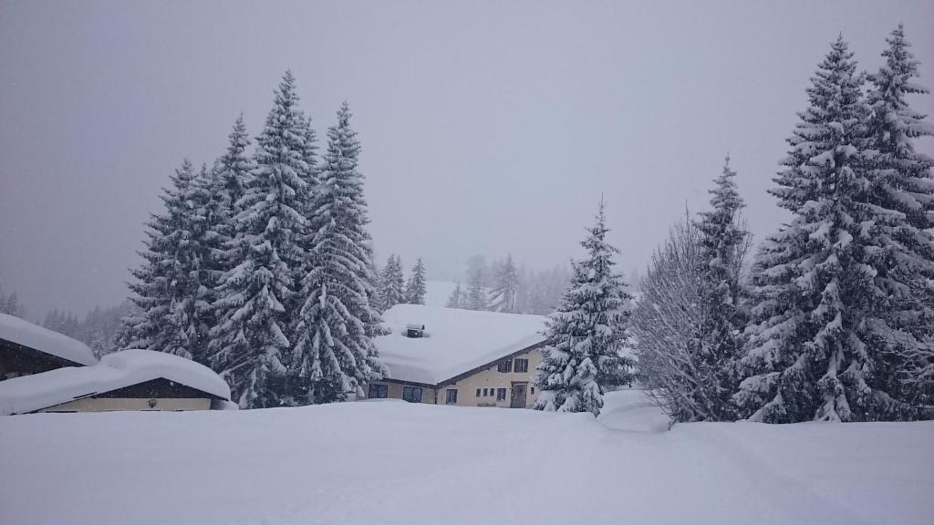 Appartmenthaus Hochkönig v zimě
