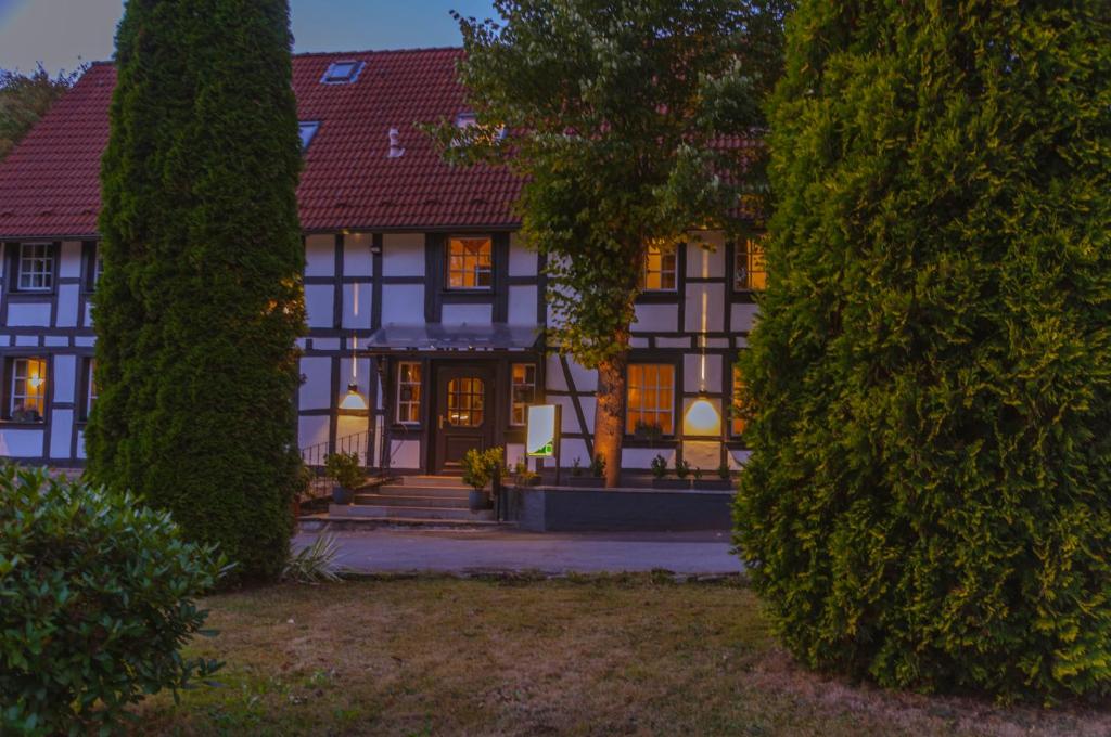 哈廷根的住宿－維吉爾曼BIO蘭德豪斯艾姆伍達恩塔爾酒店，前面有两棵树的大房子