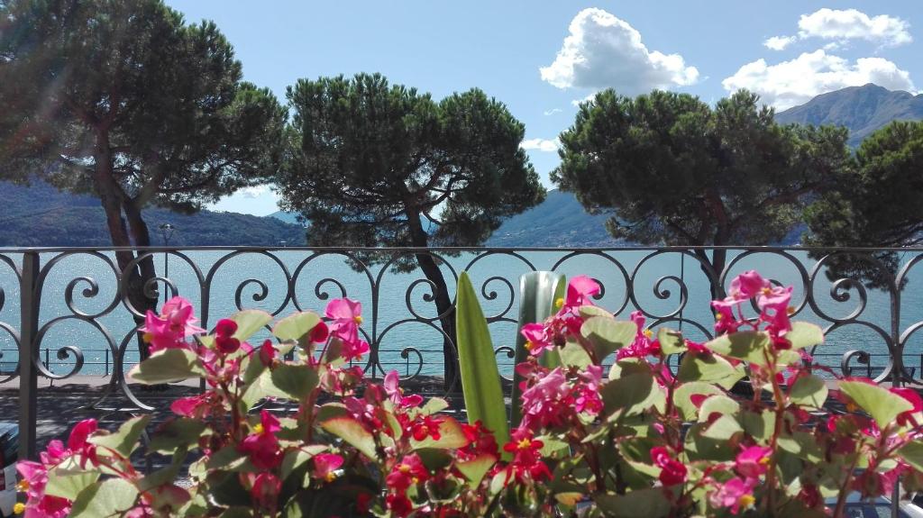 ドマーゾにあるCasa d'epoca fronte lago a Domaso lago di Comoの塀の上に飾られたピンクの花束