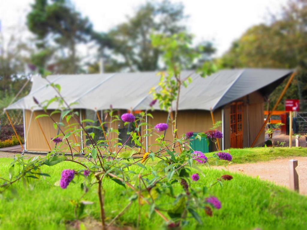 Zahrada ubytování Durrell Wildlife Camp