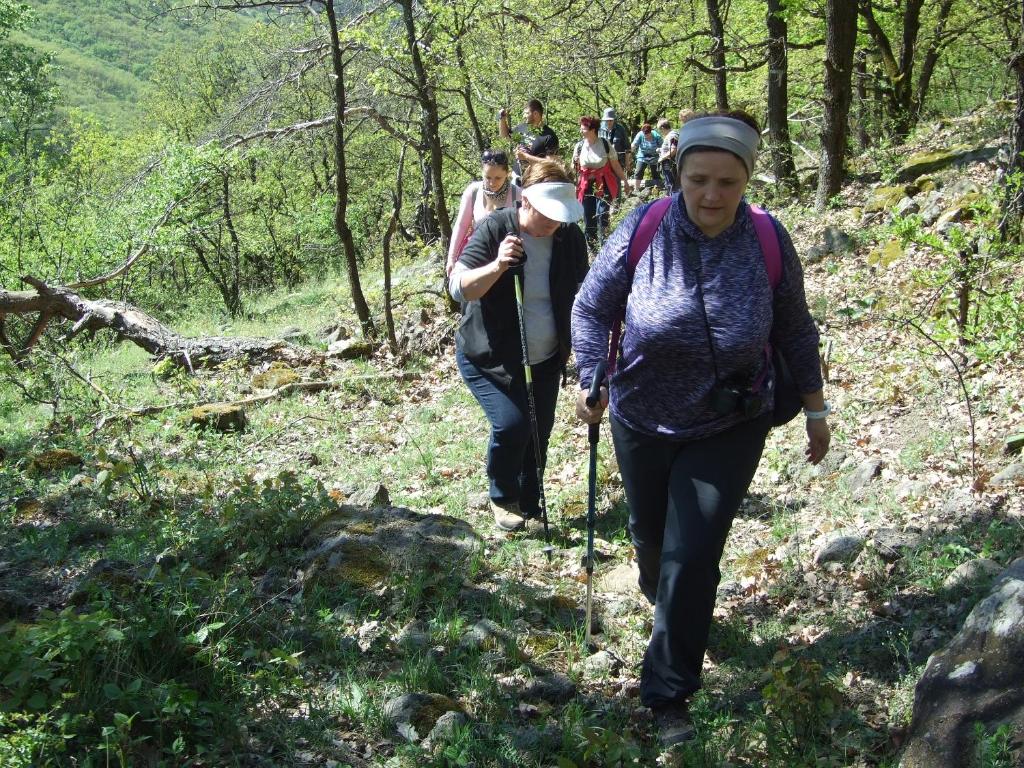 AbaújszántóにあるHollókői Vendégházの森の道を歩く人々
