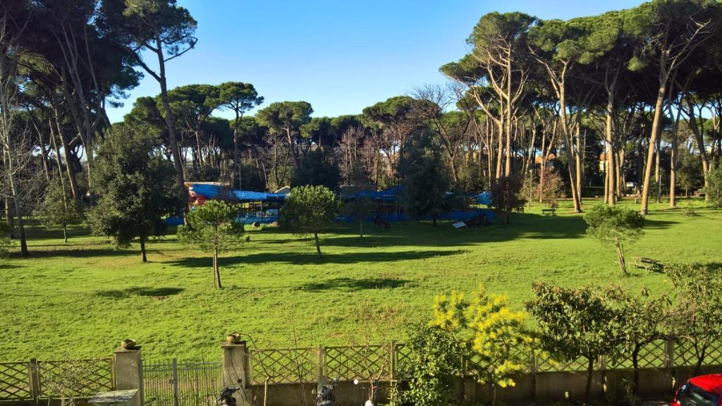ヴィアレッジョにあるCasa della pinetaの野原中遊園地