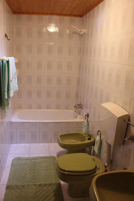 a bathroom with a green toilet and a bath tub at Sobrado Fonseca in Paredes do Rio