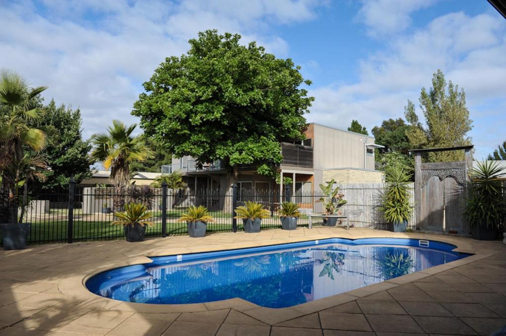a house with a swimming pool in a yard at Barossa Valley Apartments in Tanunda