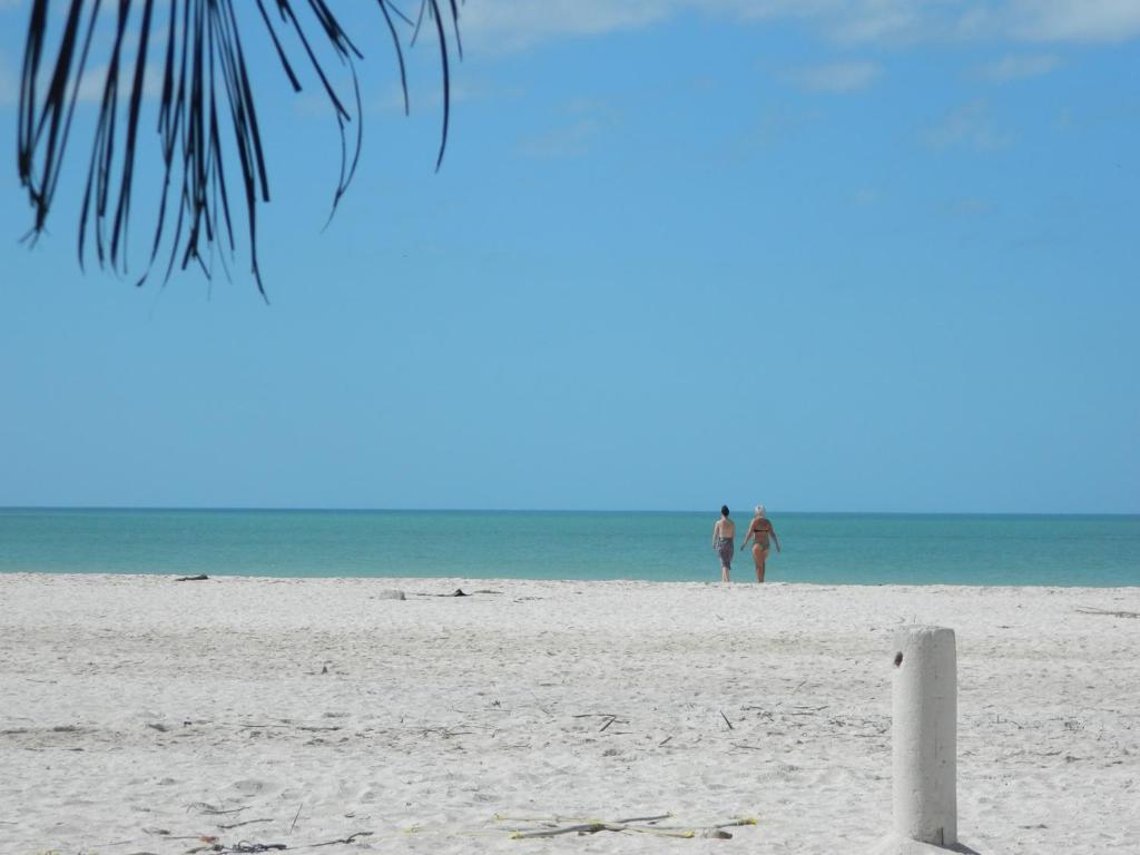Cabañas Camping Ria Celestun - Housity