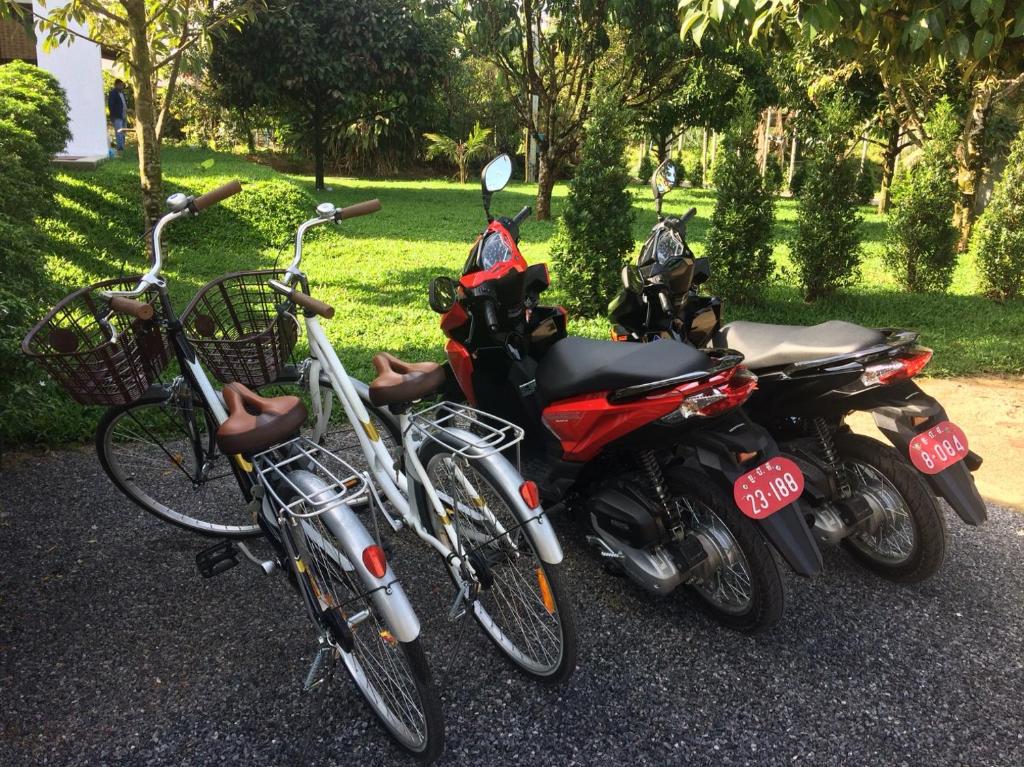 Sänger Caroline Berri bike rental khao lak Jazz Stahl Christian