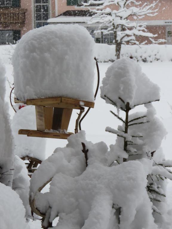 Sportpension Thayer during the winter