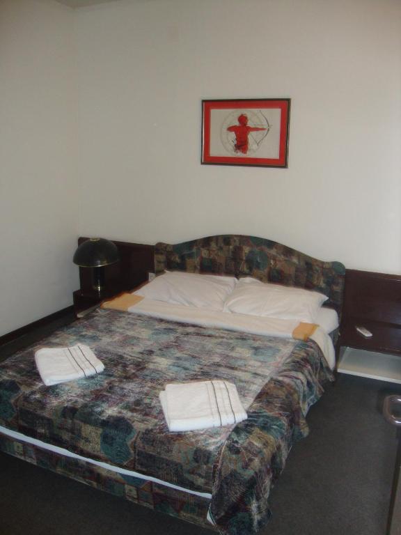 Postel nebo postele na pokoji v ubytování B&B Inex Negotin