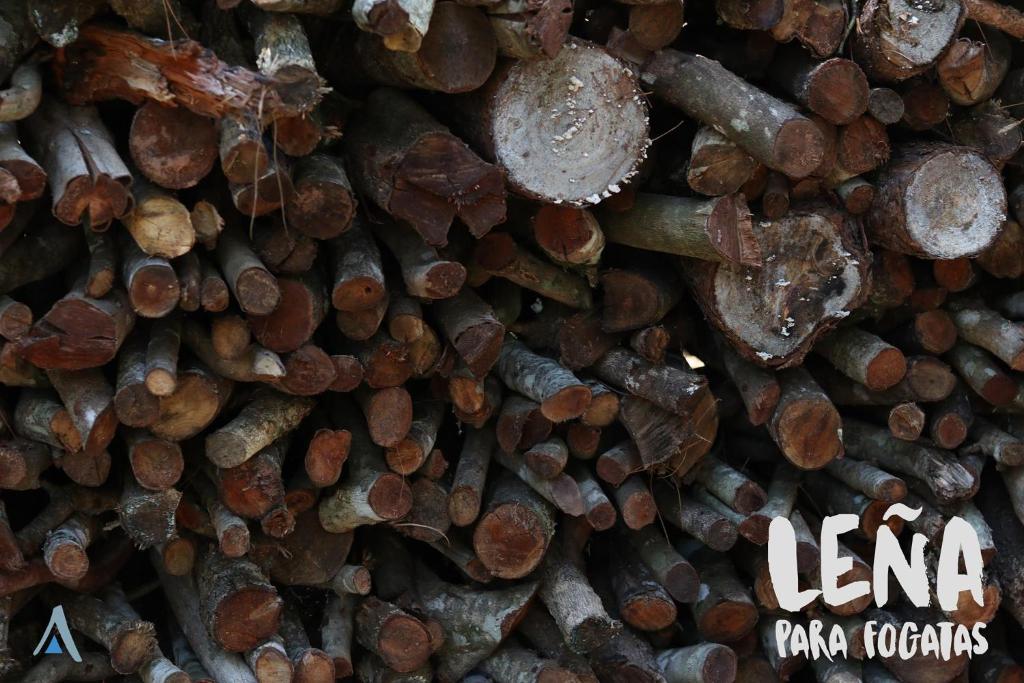 Fotografie z fotogalerie ubytování El Paraje Camping v destinaci Piribebuy