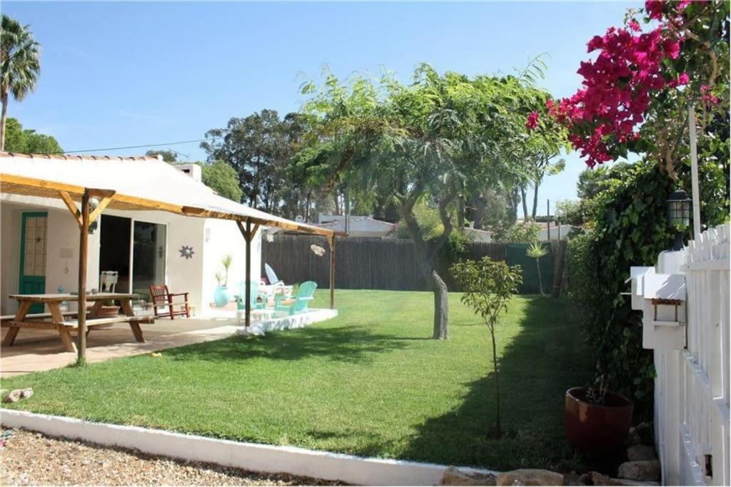 Quinta da Balaia 3 Rooms في ألبوفيرا: حديقة خلفية مع طاولة وسياج