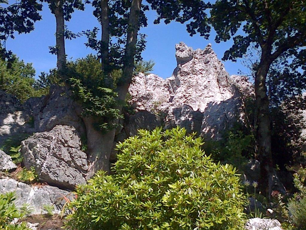 une grande formation rocheuse avec des arbres et des buissons dans l'établissement Le Rocher du Samoyède, à Dirinon