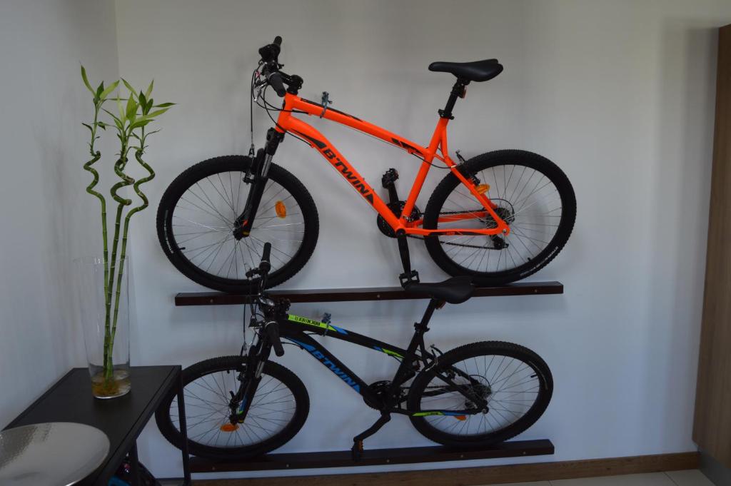 Jazda na bicykli v okolí ubytovania Moai Loft