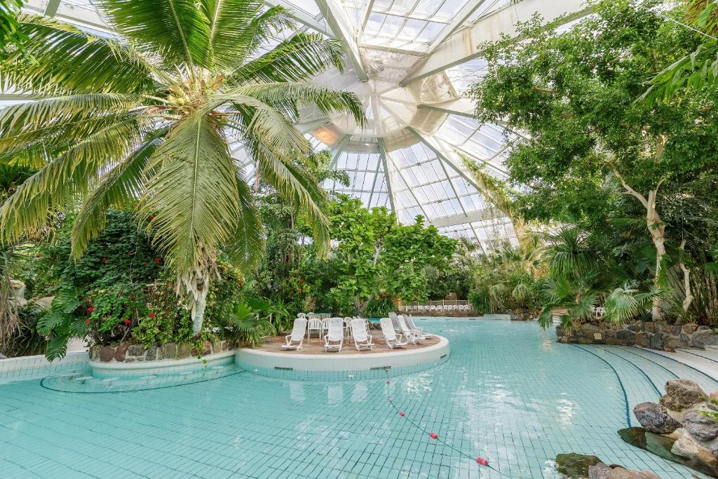 
a large swimming pool surrounded by palm trees at Center Parcs Les Bois Francs in Verneuil d'Avre et d'Iton
