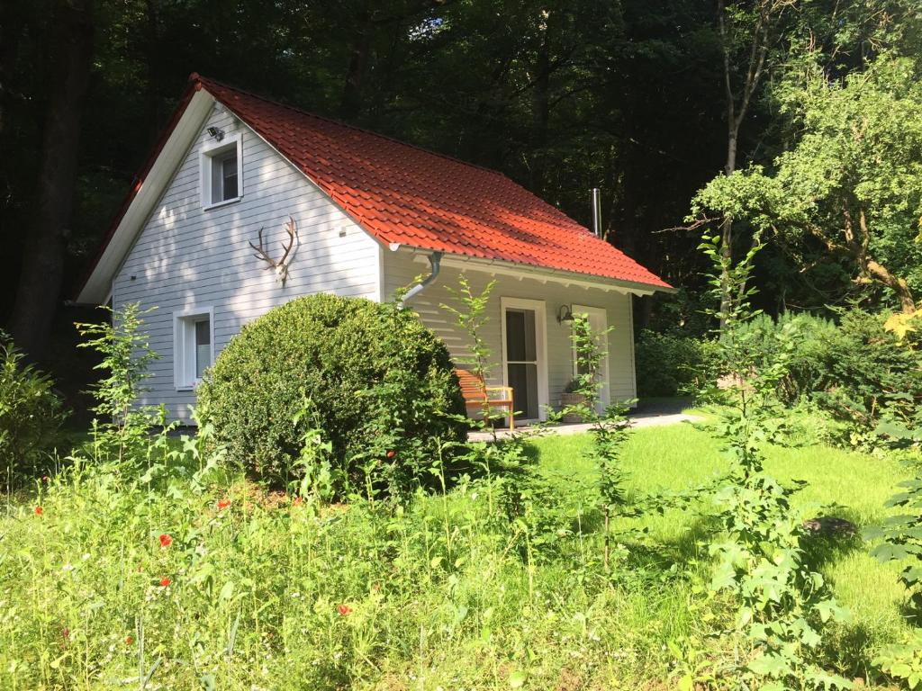 una piccola casa bianca con tetto arancione di "das Waldhaus" a Bad Lauterberg