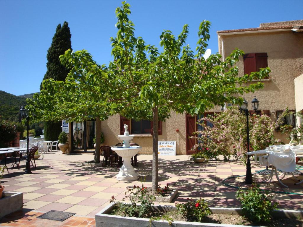 un patio con un árbol y una fuente en Sole e Mare, en Galeria