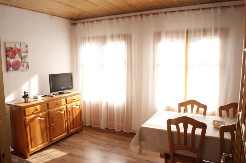 Televízia a/alebo spoločenská miestnosť v ubytovaní Apartaments Pont Romànic