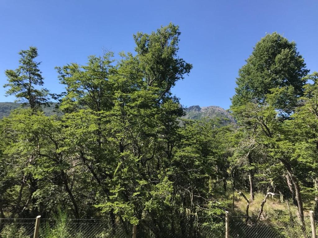 Paesaggio naturale nelle vicinanze del lodge